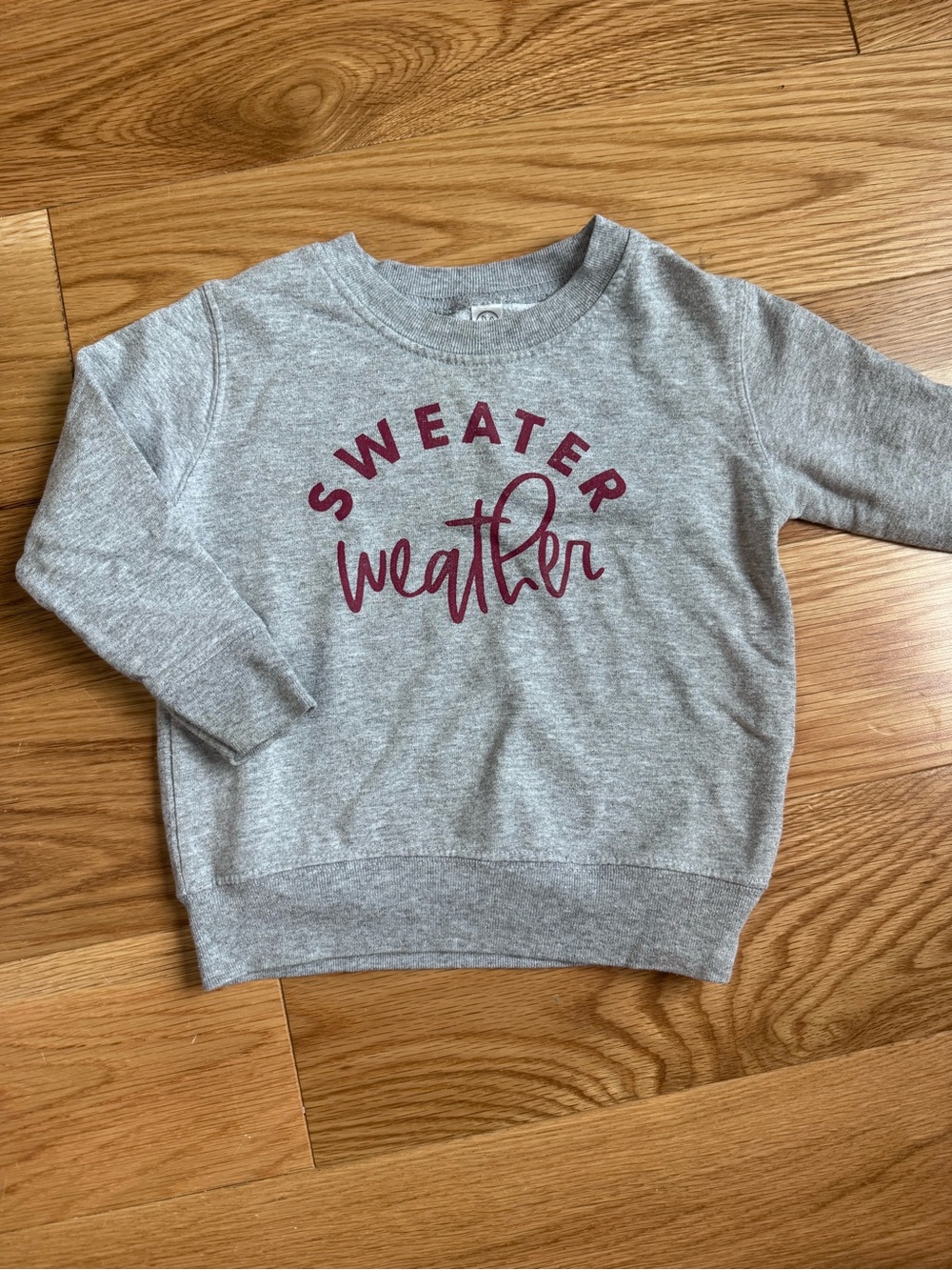 Rabbit Skins Gray Crewneck Sweatshirt with Burgundy "Sweater Weather" Script